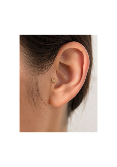 14 Ayar Altın Kelebek Model Taş Detaylı Tragus Piercing Küpe Diğer