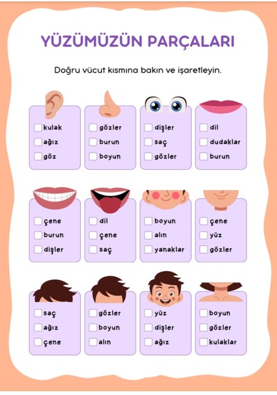 Çocuklar İçin Anatomi Öğreten Yaz-sil Kitabı