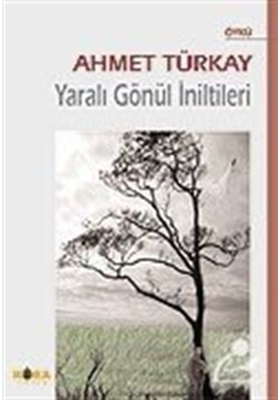 Yaralı Gönül İniltileri - Ahmet Türkay - Berfin Yayınları