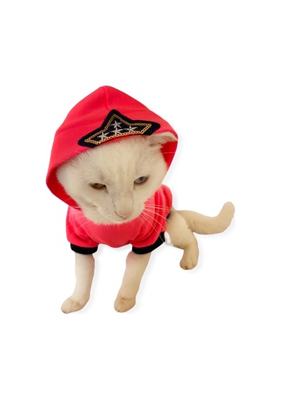 Kemique Pink Stars Kapşonlu Kedi Sweatshirt