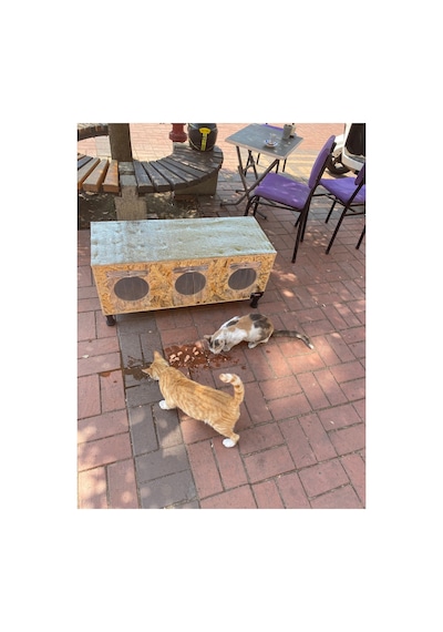 Kedi Yuvası Kedi Evi Kediyatağı 3 Bölmeli 90x35x37 Cm Ayaklı