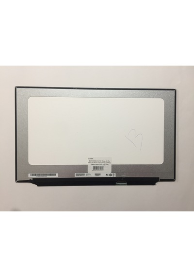 B173HAN04.9 17.3" Ekran 40 Pin Slim Led Panel vidasız FHD (144HZ)
