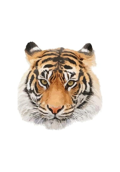 Kaplan Aile Araba Oto Sticker Yapıştırma Etiket 17Cm H2