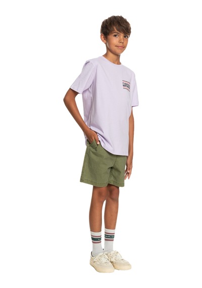 Quiksilver Taxerwsyth B Wkst Haki Haki