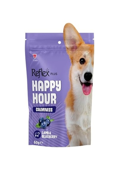 Ayrex Hour Ayrex Hour