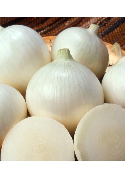 Beyaz Kuru Soğan Tohumu 10 GR