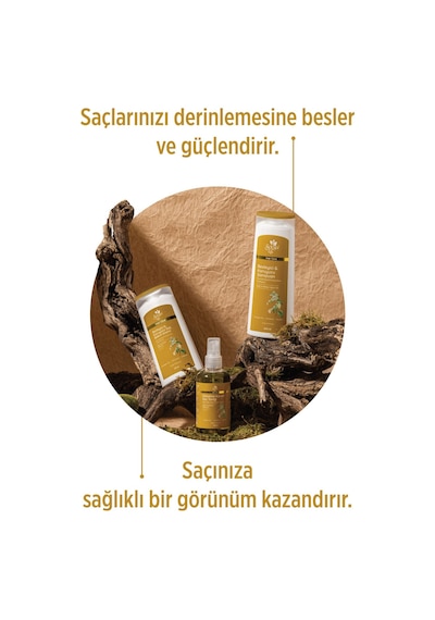 Selesta Life Isırgan Otu Ve Ginseng Özlü 3'lü Dökülme Karşıtı Saç Bakım Seti - Ve Dökülen Saçlar
