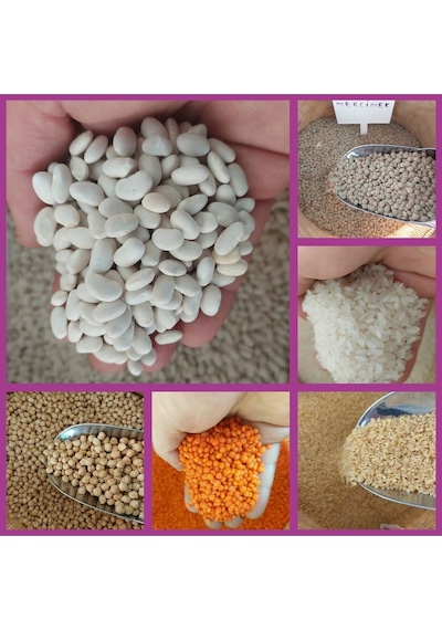 Bakliyat Kolisi Fasülye,nohut ,pirinç, Bulgur , Kırmızı Ve Yeşil Mercimek Net 12 Kg Herbiri 2 Kg