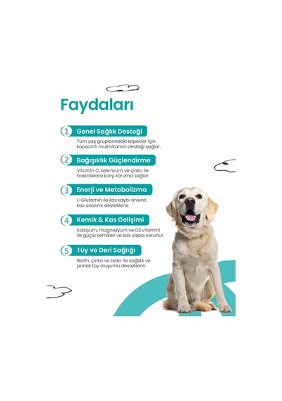 Köpekler İçin Multivitamin