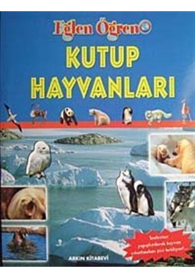 Kutup Hayvanları / Eğlen Öğren