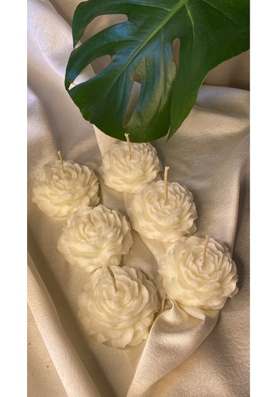 Bernami Biblo Pinterest 6'lı Gül Vegan Mum