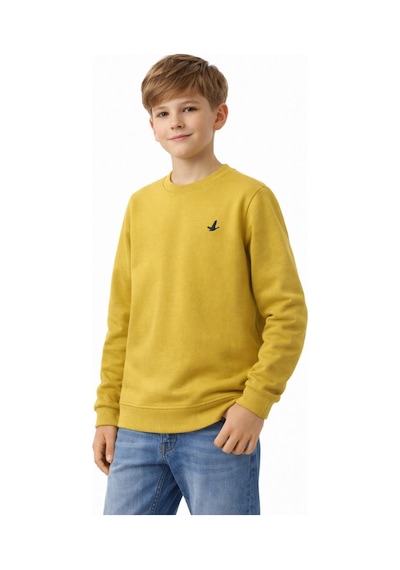Baglan Erkek Çocuk Sweatshirt Bgl-st05228 Yeşil