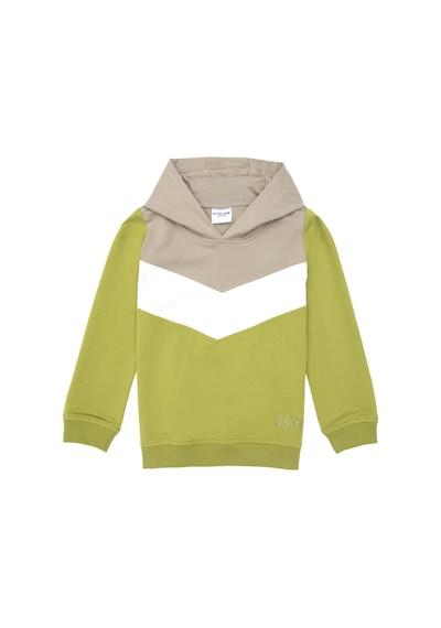 U.S. Polo Assn. Kız Çocuk Fıstık Yeşili Kapüşonlu Sweatshirt 50296288-VR087