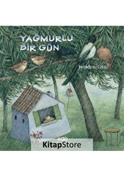 Kitapstore Yağmurlu Bir Gün (Karton Kapak) / Feridun Oral