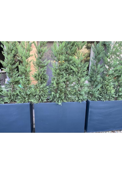 Fiber Saksı Antrasit 100x30x50 Cm Dikdörtgen Dış Mekan Saksısı