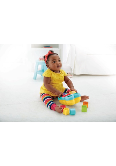 Fisher-Price Şekil Eşleştirme Arkadaşı Kelebek +6 Ay CDC22