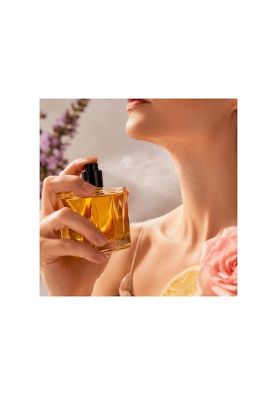 Protocol Lavanta Bergamot Ananas Narenciye Tonka Sandalwood Kadın Parfüm Edp 100 Ml Diğer