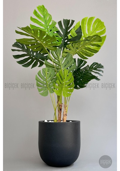 Yapay Monstera Ağacı Deve Tabani 180 Cm Antresi T Çeşme Saksıda Antresit