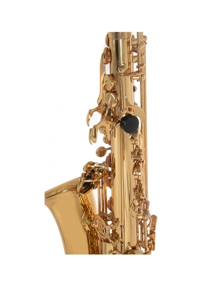 Roy Benson As-202 Alto Saksafon Başlangıç/eğitim - Eb Alto Pi