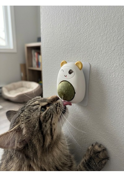Sarı Sevimli Karakter Tasarımlı Dönen Kedi Nanesi Topu - Duvara Yapışan Doğal Catnip