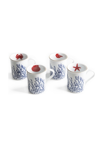 Mercan Kupa 4 Lü Set Beyaz - Mavi