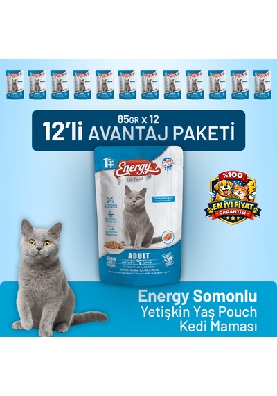 Somonlu Yetişkin Yaş Kedi Maması 85 G - 12 Adet