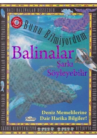 Bunu Bilmiyordum Balinalar Şarkı Söyleyebilir Deniz Memelilerine Dair Harika Bilgiler - Flowerpot Press - Teleskop Popüler Bilim
