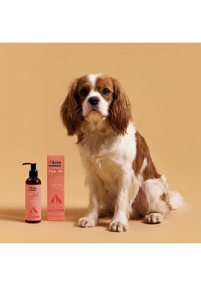 Balık Yağı 200 Ml Kedi Ve Köpekler İçin Omega 3 & 6 İçerikli Deri, Tüy, Eklem Ve Kalp Sağlığı Tamamlayıcı