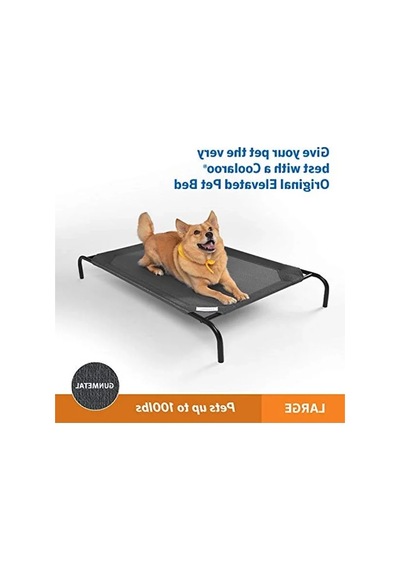 Orijinal - Köpek, Kedi - Büyük - Gunmetal, Kumaş Açik Mavi
