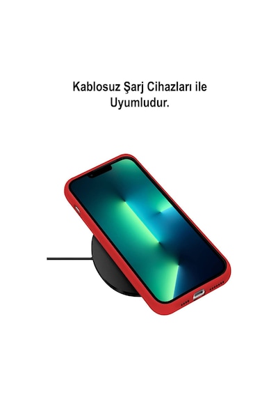 Apple Uyumlu iPhone 13 Pro Logolu Silikon Kılıf Altı Kapalı İçi Kadife Lansman Arka Kapak