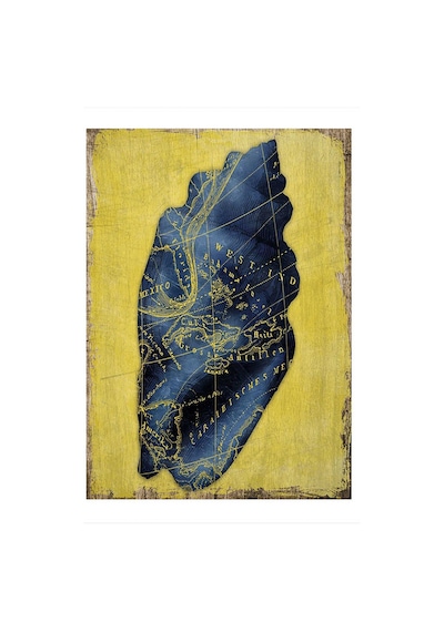 Bedeko Deniz Kabuğu Desenli Ahşap Tablo 50 Cm X 70 Cm