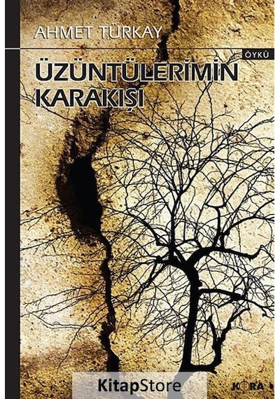 Üzüntülerimin Karakışı - Ahmet Türkay - Kora Yayın