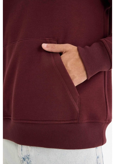 Defacto Regular Fit Kapüşonlu İçi Yumuşak Tüylü Bordo Erkek Sweatshirt X8283az/br230 Bordo