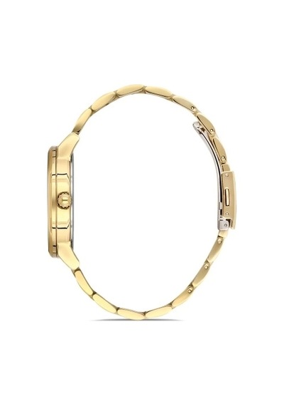 Ferro Sarı Çelik Kordon Erkek Kol Saati F11183a-b Gold