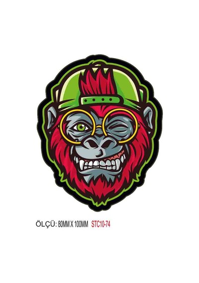Motorsiklet Otomobil Sticker 2 Adet 074