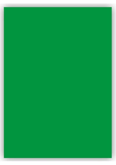 Bigpoint Fon Kartonu 50x70cm 160 Gram Koyu Yeşil 100'lü Paket