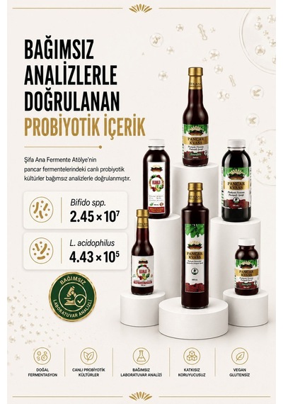 12 Adet Pancar Kanji 500 Ml. Pet Şişede