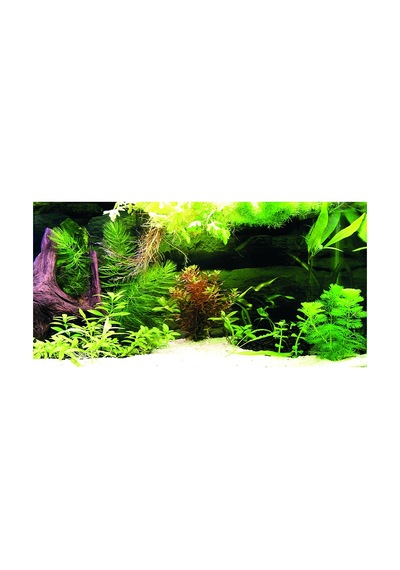 Kanki Pet Kp10552036 Akvaryum Arka Fon Yapıştırma 105 X 52 Cm