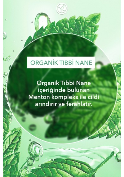 Yves Rocher Micellar Makyaj Temizleme Suyu-karma,yağlı, Eğilimli Cilt-pure Menthe Botanik Kompleks 400ml