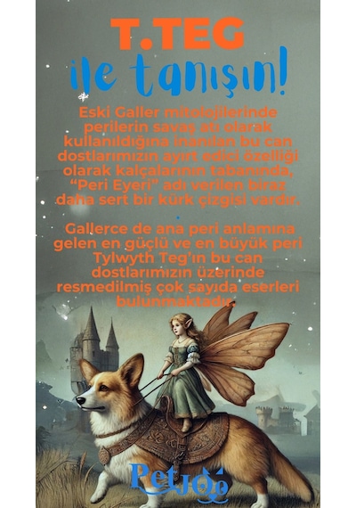 Petjoo 15.T.Teg Mavi-Turuncu Qr'lı Köpek Künyesi