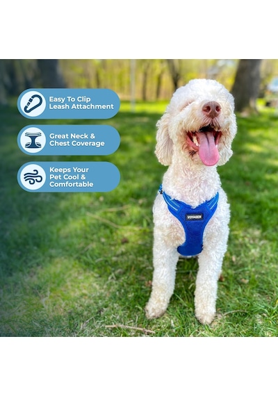 Voyager By Best Pet Supplies - Reflektif 3m Şeritli Tamamen Ayarlanabilir Basamaklı Ağ Koşumu - Kraliyet Mavisi Uyumlu Kesim , Orta 213-rbw-m
