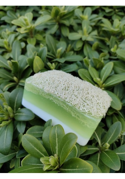 Doğal Kabak Lifli Sütlü Aloe Vera Sabun