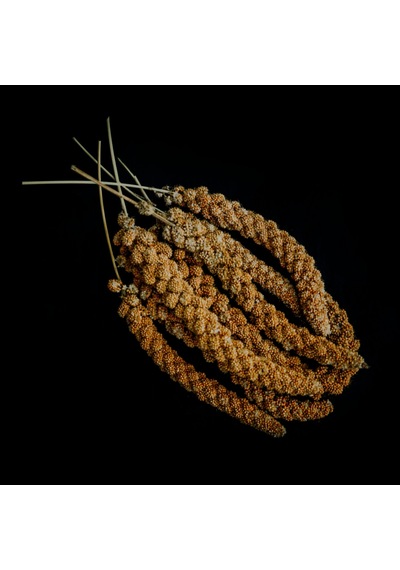 Kızıl  Dal Darı  500 Gr