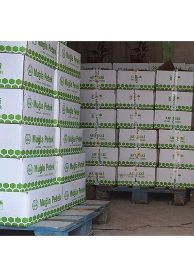 Avrasya Arıcılık Muğla Petek Arı Keki 20 Kg