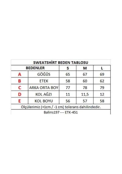 Balins Unisex Kapüşonlu Polar  Lacivert