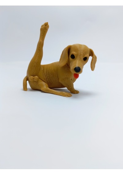 Temizlenen Sosis Köpek Magnet