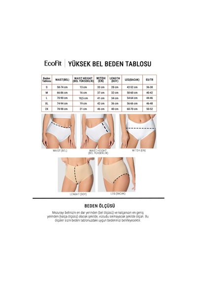 Auw Kadın Geçme Lastikli Yüksek Bel Pamuk Basic Bato Külot 8'li - Comfily Çok Renkli