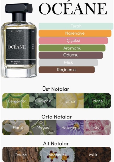 Océane Edp Erkek Parfüm 100 Ml Fresh - Deniz - Narenciye Aromatik, Limon, Gül