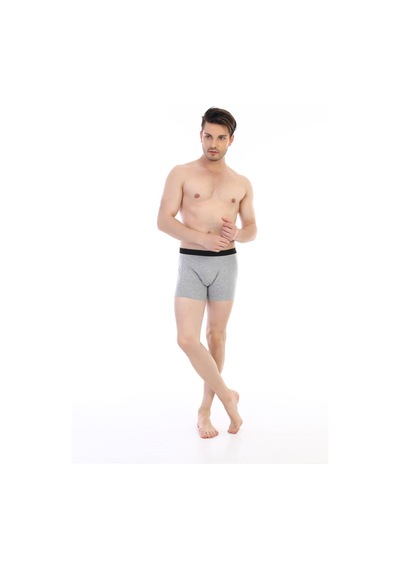 Çift Kaplan Erkek Elastanlı Gri Boxer 889 Gri
