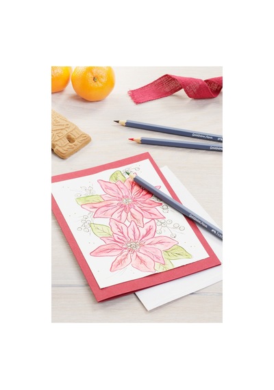 Faber-castell Faber Castell Goldfaber Aquarell Kuru Boya 48'li Karışık